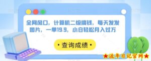 全网风口,计算机二级搞钱,每天发发图片,一单19.9,小白轻松月入过万【揭秘】-流年日记