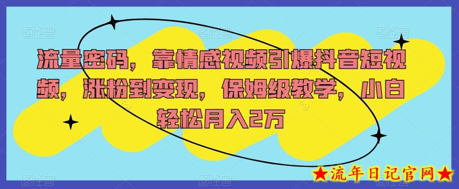 流量密码，靠情感视频引爆抖音短视频，涨粉到变现，保姆级教学，小白轻松月入2万【揭秘】-流年日记