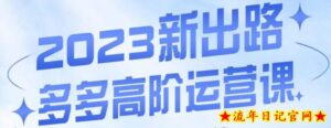 大炮·多多高阶运营课,3大玩法助力打造爆款,实操玩法直接亮出干货-流年日记