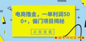 电商撸金，一单利润500+，偏门项目揭秘-流年日记