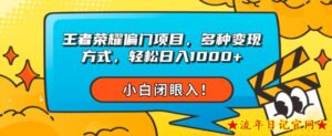 王者荣耀偏门项目，多种变现方式，轻松日入1000+，小白闭眼入！-流年日记