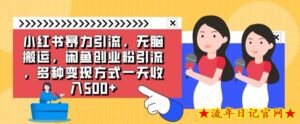 小红书暴力引流,无脑搬运,闲鱼创业粉引流,多种变现方式一天收入500-流年日记