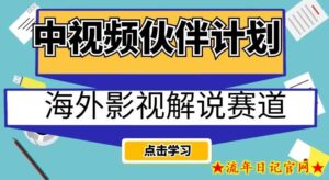 中视频伙伴计划海外影视解说赛道,AI一键自动翻译配音轻松日入200+【揭秘】-流年日记