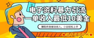 电子资料暴力引流,一单最低10美金,赚取终身被动收入,保姆级教程【揭秘】-流年日记