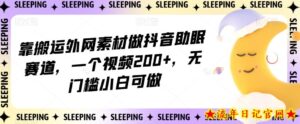 靠搬运外网素材做抖音助眠赛道,一个视频200+,无门槛小白可做【揭秘】-流年日记