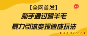 【全网首发】新手通过薅羊毛暴力引流变现速成玩法-流年日记