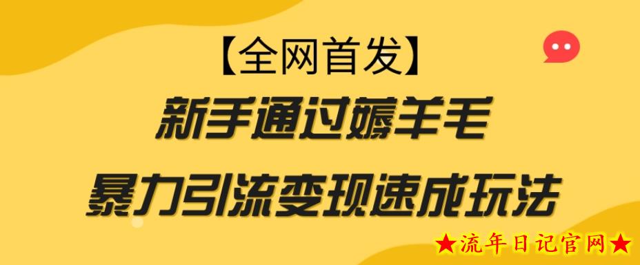 【全网首发】新手通过薅羊毛暴力引流变现速成玩法-流年日记