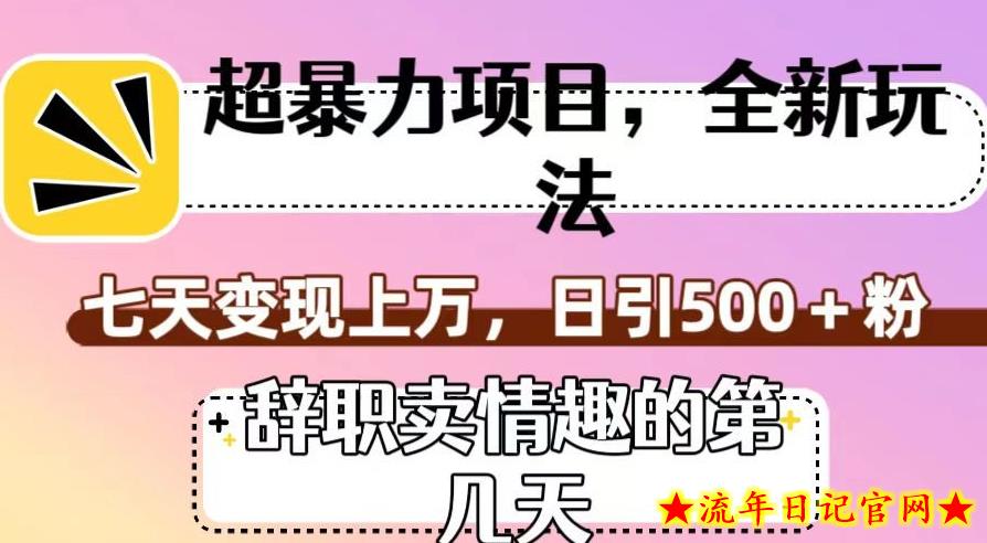 超暴利项目，全新玩法（辞职卖情趣的第几天），七天变现上万，日引500+粉【揭秘】-流年日记