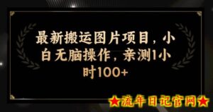 最新搬运图片项目,小白无脑操作,亲测1小时100+-流年日记