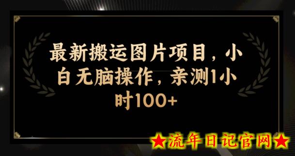 最新搬运图片项目，小白无脑操作，亲测1小时100+-流年日记