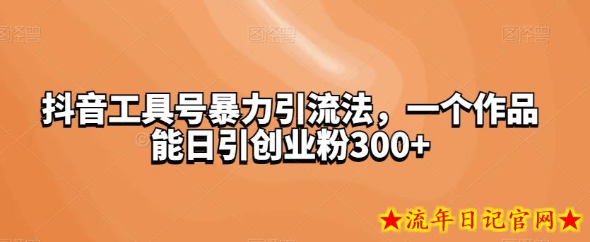 抖音工具号暴力引流法，一个作品能日引创业粉300+-流年日记