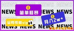 简单粗暴零成本,高回报,全网视频VIP掘金项目,月入2万+【揭秘】-流年日记