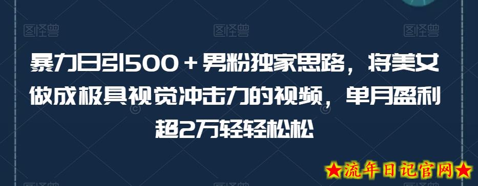 暴力日引500＋男粉独家思路，将美女做成极具视觉冲击力的视频，单月盈利超2万轻轻松松-流年日记