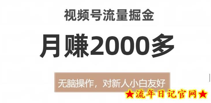 视频号流量掘金，无脑操作，对新人小白友好，月赚2000多【揭秘】-流年日记