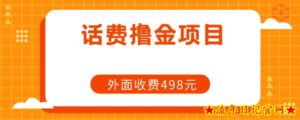 长期话费撸金项目,外面498元在带人-流年日记