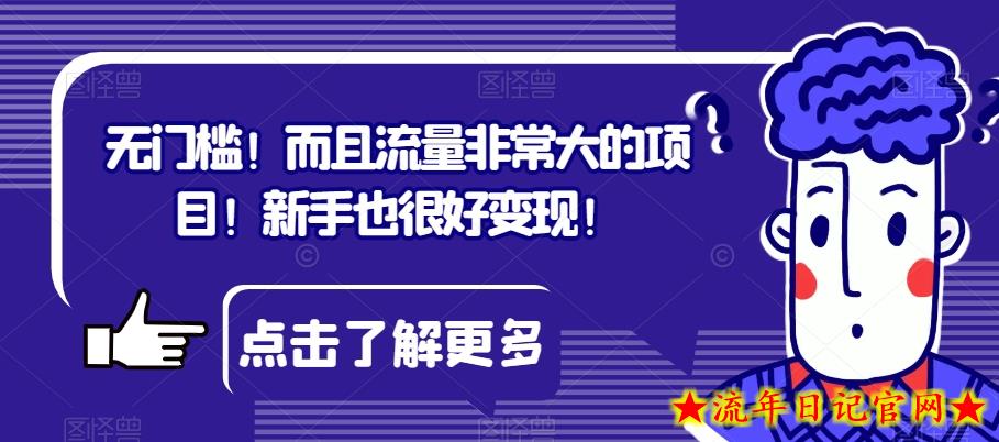 无门槛！而且流量非常大的项目！新手也很好变现！-流年日记