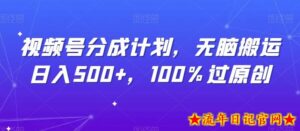 视频号分成计划,无脑搬运日入500+,100%过原创-流年日记