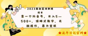 最新躺赚项目,靠一个抖音号,日入500+,保姆式教学,无脑操作,暴力变现-流年日记