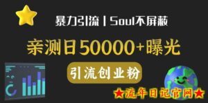 亲测日引500+创业粉丨有手就行的全行业暴力引流创业粉-流年日记