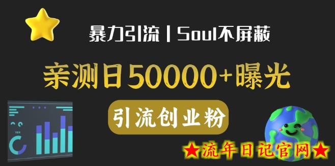 亲测日引500+创业粉丨有手就行的全行业暴力引流创业粉-流年日记