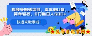 视频号搬砖项目,卖车载U盘,简单轻松,0门槛日入500+-流年日记