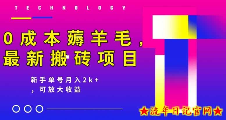 0成本薅羊毛，最新搬砖项目，新手单号月入2k+，可放大操作-流年日记