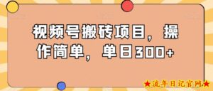 视频号搬砖项目，操作简单，单日300+-流年日记