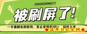 一个谁都会的软件,怎么变现月1万+轻松上手-流年日记