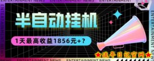 我这朋友做“半自动”挂机项目1天最高收益1856元+?-流年日记