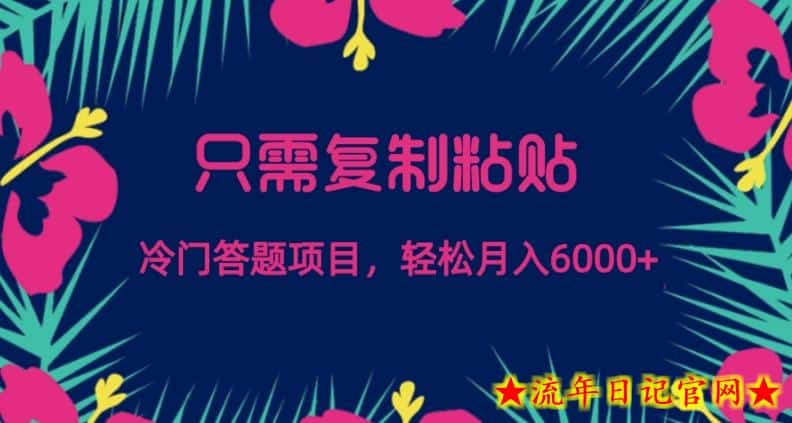 只需复制粘贴，冷门答题项目，轻松月入6000-流年日记