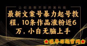 最新文案号暴力起号教程,10条作品涨粉近6万,小白无脑上手-流年日记