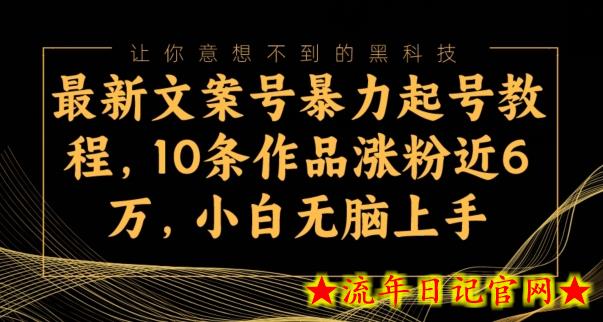 最新文案号暴力起号教程，10条作品涨粉近6万，小白无脑上手-流年日记