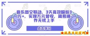音乐图文联动,3天高效吸粉3万+,实现万元营收,简易操作无忧上手-流年日记