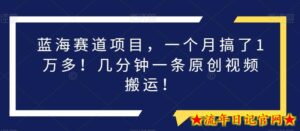 蓝海赛道项目,一个月搞了1万多!几分钟一条原创视频搬运!-流年日记