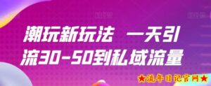 潮玩新玩法一天引流30-50到私域流量-流年日记