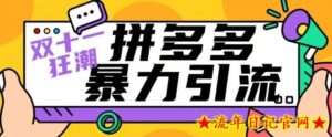 【首发】双十一拼多多暴力引流,日引300+微信-流年日记