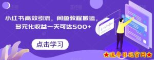 小红书高效引流,闲鱼教程搬运,多元化收益一天可达500+-流年日记
