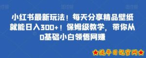 小红书最新玩法!每天分享精品壁纸就能日入300+!保姆级教学,带你从0基础小白领悟网赚-流年日记