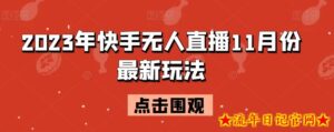 2023年快手无人直播11月份最新玩法-流年日记