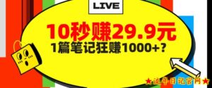 她,靠1个软件,10秒赚29.9元,1篇笔记狂赚1000+?-流年日记
