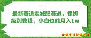 最新赛道走减肥赛道，保姆级别教程，小白也能月入1w-流年日记