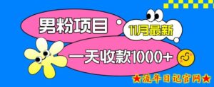 11月最新男粉项目,日引500+色粉,一天收款1000+-流年日记