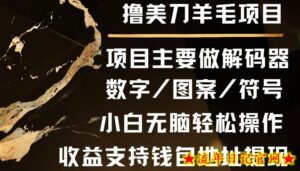 撸美刀羊毛项目,小白无脑轻松操作-流年日记