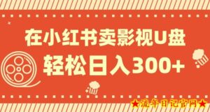 在小红书上卖影视U盘,轻松日入300+,操作简单,小白可轻松上手-流年日记