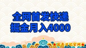 全网首发快递掘金月入4000,超低门槛的项目,只要会购物即可-流年日记