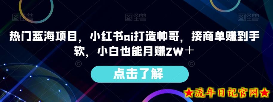 热门蓝海项目，小红书ai打造帅哥，接商单赚到手软，小白也能月赚2W＋-流年日记