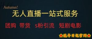 无人直播一站式服务(教程以及变现方式)-流年日记