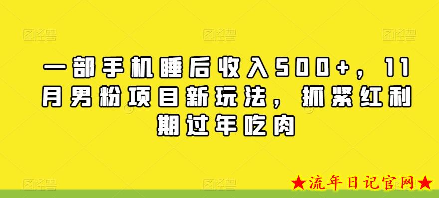 一部手机睡后收入500+，11月男粉项目新玩法，抓紧红利期过年吃肉-流年日记