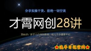 才霄网创28讲第01讲:新手小白网创指南,这七个步骤要牢记-流年日记