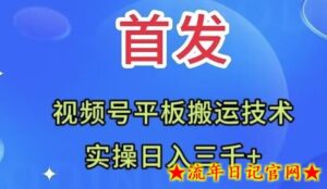 全网首发：视频号平板搬运技术，实操日入三千＋-流年日记